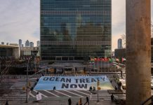 Worry, frustration as UN tries to finally agree high seas treaty