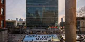 Worry, frustration as UN tries to finally agree high seas treaty