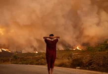 Scientists deliver ‘final warning’ on climate crisis: act now or it’s too late