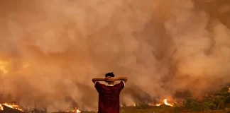 Scientists deliver ‘final warning’ on climate crisis: act now or it’s too late