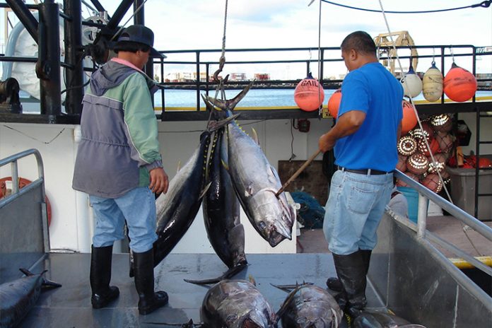 New Caledonia, Fiji embark on jurisdictional approach initiative for longline tuna fishery