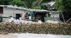 Carbon credit industry resists vulnerable nations’ call to fund adaptation