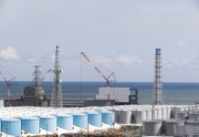 Fukushima plant head: Too early to predict decommissioning