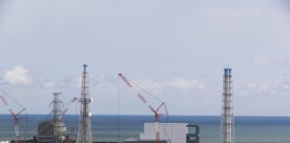 Fukushima plant head: Too early to predict decommissioning