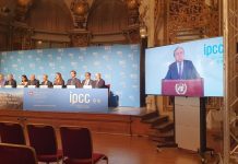 Final UN climate report an emergency siren: Greenpeace Pacific