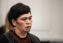 NZ Foreign Affairs Minister talks to the Vanuatu Government on Pacific issues