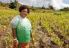 Time to step up investments in rural communities on the frontline of climate change in the Pacific islands