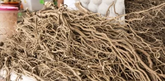 Kava significant commodity for Pacific Islands: Fiji’s Assistant Minister Tubuna