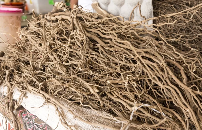 Kava significant commodity for Pacific Islands: Fiji’s Assistant Minister Tubuna