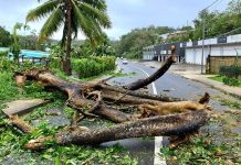 PM in cyclone-ravaged Vanuatu declares state of emergency