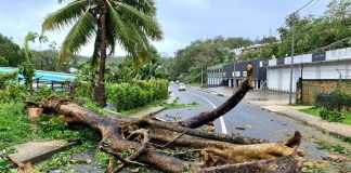 PM in cyclone-ravaged Vanuatu declares state of emergency