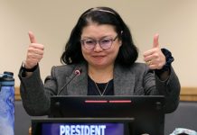 High seas treaty: historic deal to protect international waters finally reached at UN