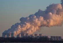 Pacific trade deal ‘will make mockery of UK’s climate ambitions’