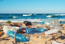 Oceana calls on Governments to address plastic pollution at Our Ocean conference