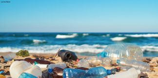 Oceana calls on Governments to address plastic pollution at Our Ocean conference