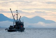 One of the most important talks no one has heard of’: why the high seas treaty matters