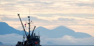 One of the most important talks no one has heard of’: why the high seas treaty matters