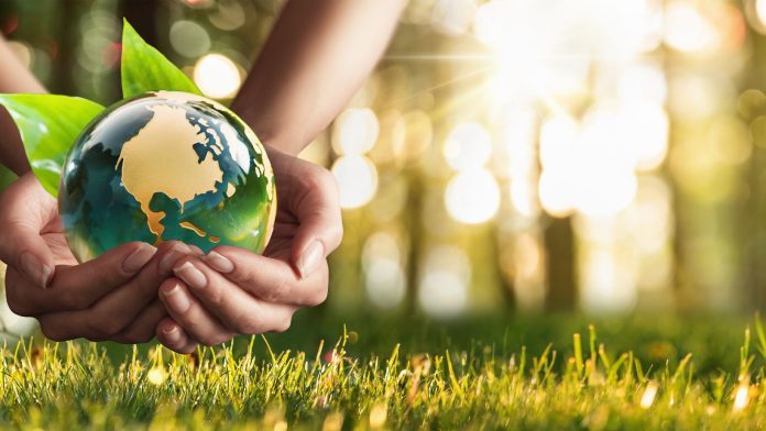 Pasifika Environews Award