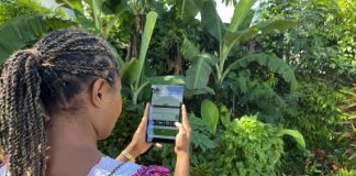 Climate Watch App being developed for Vanuatu a first for the Pacific