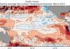 El Niño watch continues as Pacific Met Services convene 187th Ocean and Climate Online Forum