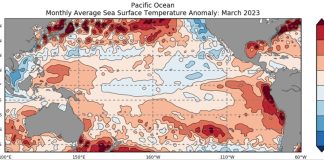 El Niño watch continues as Pacific Met Services convene 187th Ocean and Climate Online Forum