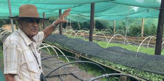 Making Climate Finance work for real people: Lessons for the World Bank from Fiji and Barbados