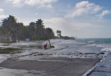 Human, economic, environmental toll of climate change on the rise: WMO