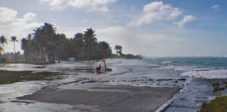 Human, economic, environmental toll of climate change on the rise: WMO