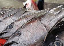 Tuna symposium kicks off on strong commitment to partnership and sustainability