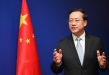 Senior Chinese diplomat heads to Australia and Fiji to pave way for Xi-Albanese talks in Beijing