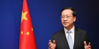 Senior Chinese diplomat heads to Australia and Fiji to pave way for Xi-Albanese talks in Beijing