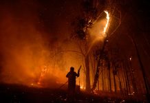 World could face record temperatures in 2023 as El Nino returns