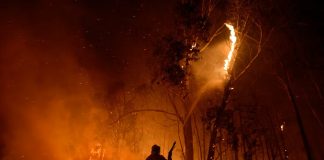 World could face record temperatures in 2023 as El Nino returns