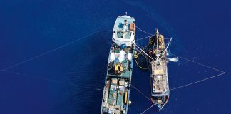 ‘New data reveal links between Korean vessels and illegal fishing in the Pacific’