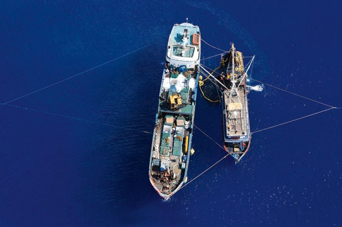 ‘New data reveal links between Korean vessels and illegal fishing in the Pacific’