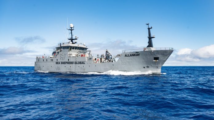 Tuvalu joins forces with Sea Shepherd Global to combat Ilegal fishing in Pacific waters