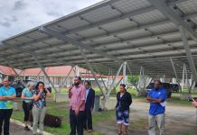 Energy and Transport Ministers to be gender champions