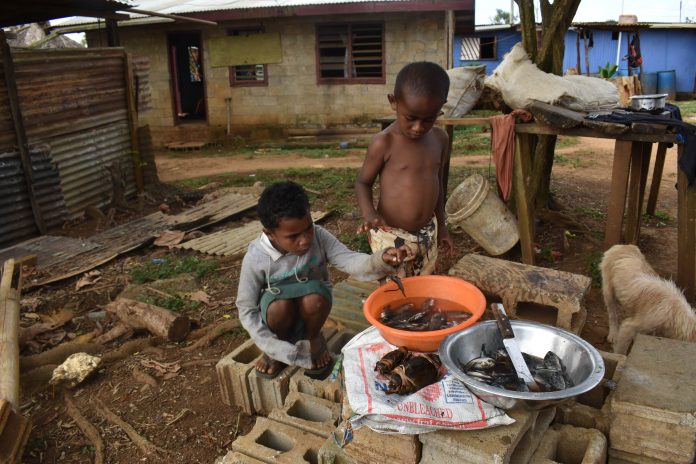 Strong Pacific Voices: Elevating Traditional Knowledge in Climate Adaptation