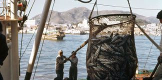 Pacific-first as climate and fisheries experts come together to focus on climate change response for offshore fisheries