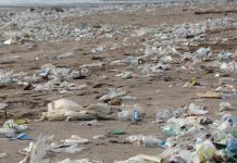 Pacific, the moral voice in global plastic negotiations
