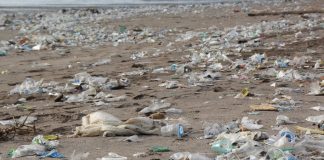 Pacific, the moral voice in global plastic negotiations
