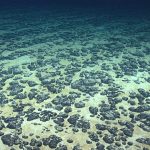 Why Capacity Building Matters: Supporting Pacific SIDS in understanding Deep-Seabed Governance