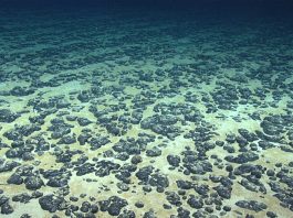 Why Capacity Building Matters: Supporting Pacific SIDS in understanding Deep-Seabed Governance