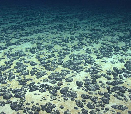 Why Capacity Building Matters: Supporting Pacific SIDS in understanding Deep-Seabed Governance