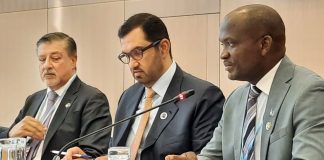 Fossil fuel lobbyists will have to identify themselves when registering for Cop28