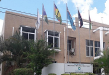 West Papuan ‘provisional’ government backs full membership of MSG