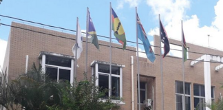 West Papuan ‘provisional’ government backs full membership of MSG