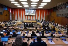 UN adopts ‘historic’ high seas treaty for conservation and sustainable use of biodiversity in over two-thirds of the ocean