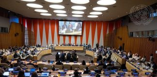 UN adopts ‘historic’ high seas treaty for conservation and sustainable use of biodiversity in over two-thirds of the ocean