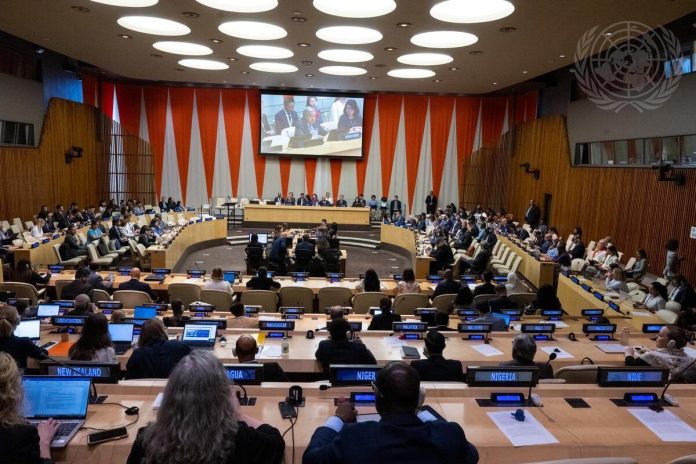 UN adopts ‘historic’ high seas treaty for conservation and sustainable use of biodiversity in over two-thirds of the ocean